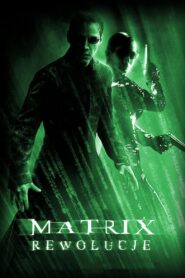 Matrix Rewolucje Online