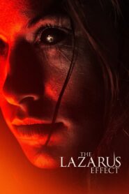 Projekt Lazarus Online