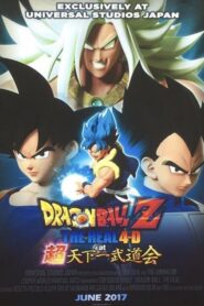 Dragon Ball Z: The Real 4-D at 超天下一武道会 Online