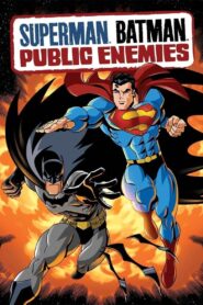 Superman/Batman: Wrogowie publiczni Online