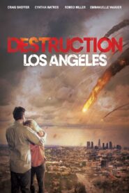 Destruction: Los Angeles Online