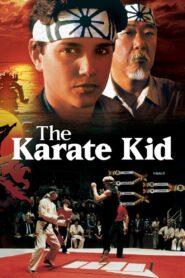 Karate Kid Online fili