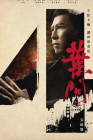 Ip Man 4 Online