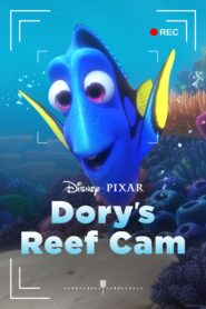 Dory’s Reef Cam Online