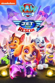 PAW Patrol: Jet to the Rescue Online