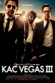 Kac Vegas III Online