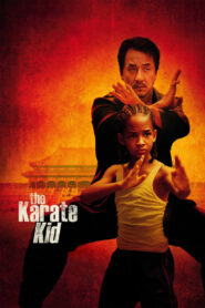 Karate Kid Online