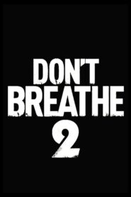 Don’t Breathe 2 Online