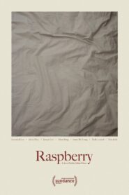 Raspberry Online