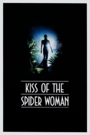 Pocałunek kobiety pająka Online fili