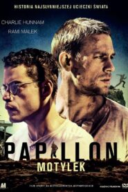 Papillon. Motylek Online fili