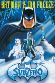 Batman & Mr. Freeze: SubZero Online fili