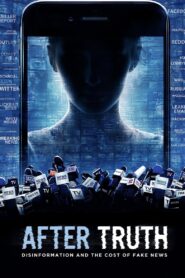 After Truth: Disinformation and the Cost of Fake News Online fili