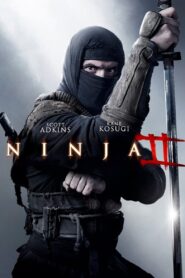 Ninja 2: Cień Łzy Online fili