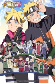 NARUTO to BORUTO The Live 2019 Online fili