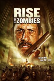 Rise of the Zombies Online fili