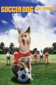 Soccer Dog: The Movie Online fili