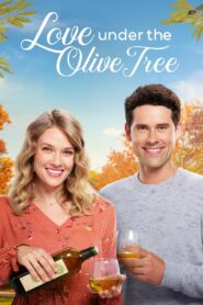 Love Under the Olive Tree Online fili