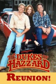 The Dukes of Hazzard: Reunion! Online fili