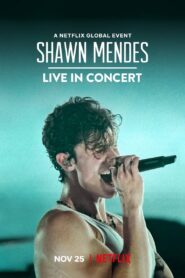 Shawn Mendes: Live in Concert Online fili