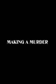 Making a Murder Online fili