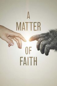 A Matter of Faith Online fili