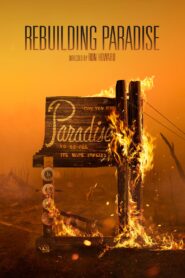 Rebuilding Paradise Online fili