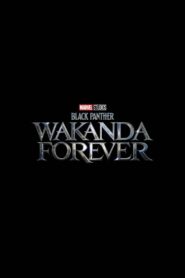 Czarna Pantera: Wakanda w moim sercu Online fili