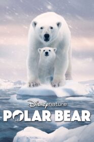 Polar Bear Online fili