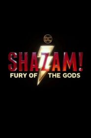 Shazam! Fury of the Gods Online fili