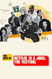 The Best of Netflix Is a Joke: The Festival Online fili