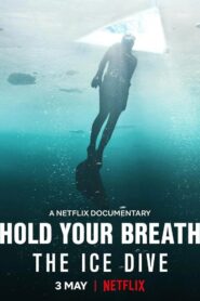 Hold Your Breath: The Ice Dive Online fili