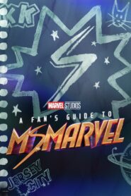 A Fan’s Guide to Ms. Marvel Online fili