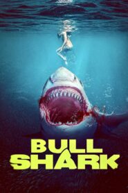 Bull Shark Online fili