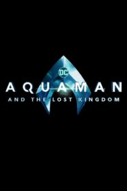 Aquaman i Zaginione Królestwo Online fili