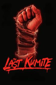 The Last Kumite Online fili